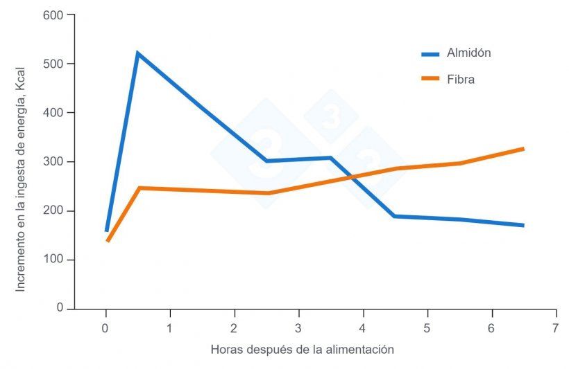 Figura 3. Efectos de la fibra como intervención nutricional en dietas de cerdas. Adaptado de Serena et al., 2009.