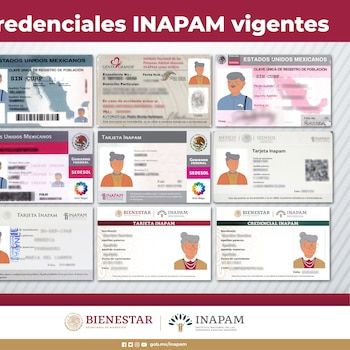 Credencial de inapam no