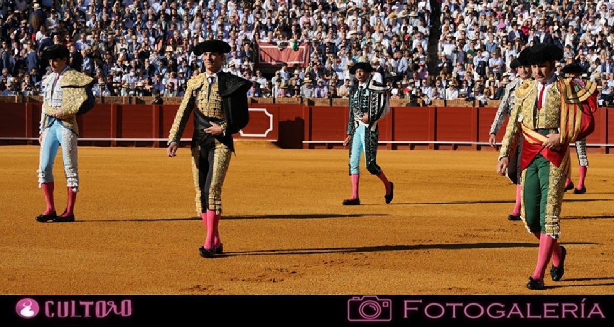 Galería
