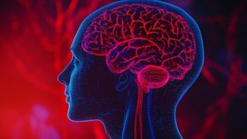 Rico en omega-3 y vitamina