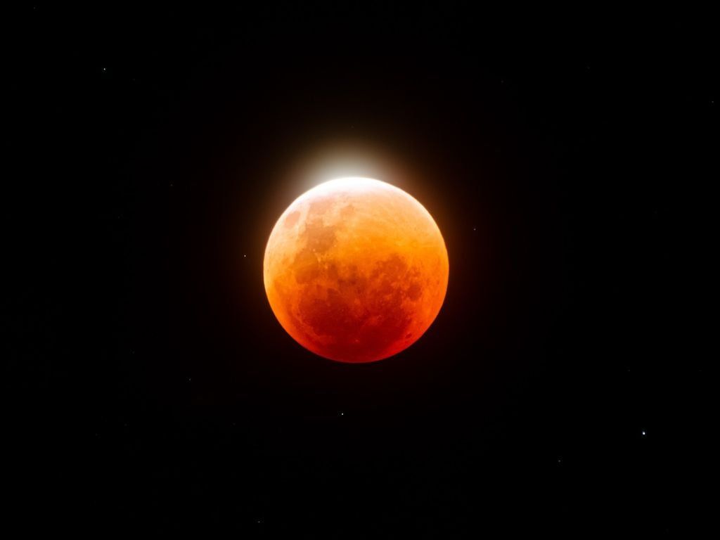 9ab6742f73.jpg