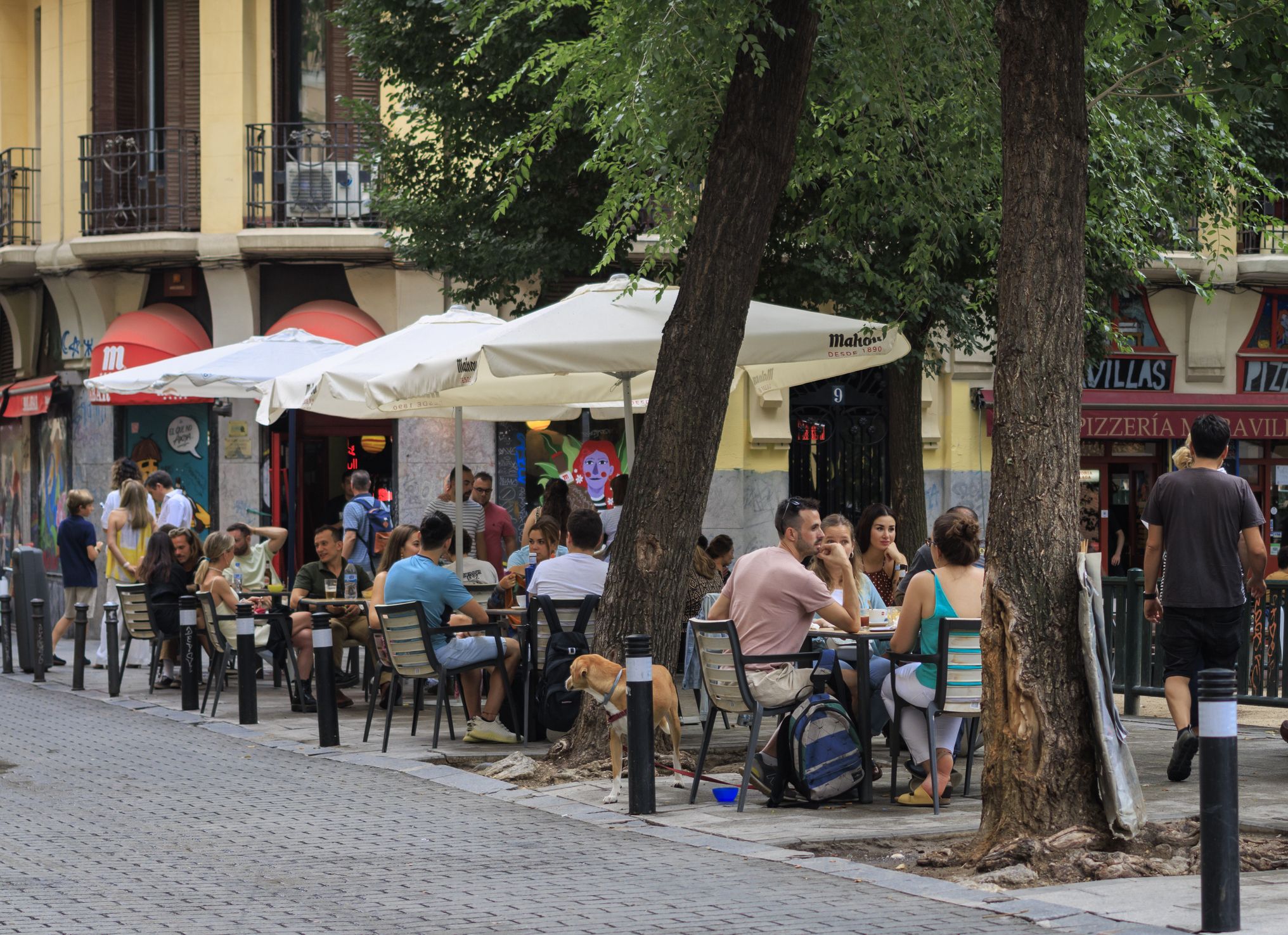 Madrid-Ostock Street