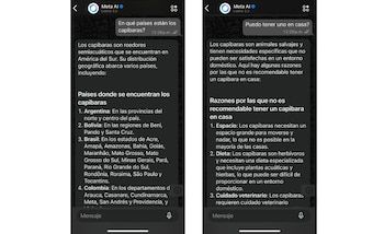 Puedes consultar