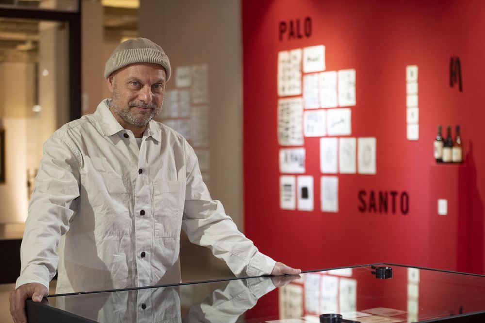 Gato Ficcardi. Foto: Ramiro Gómez. Gato Ficcardi. Foto: Ramiro Gómez.