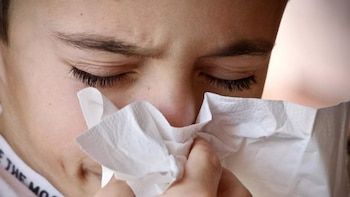 Tos de raza, secreto nasal, infección