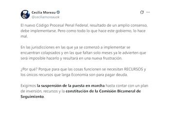 Cecilia Moreau, diputado nacional