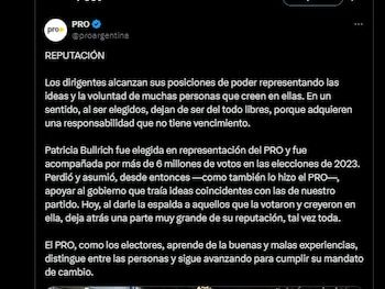 La declaración profesional después