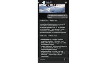 El objetivo de la IA tiene el
