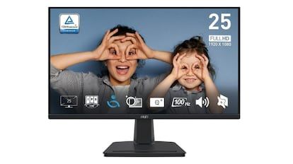 Aniversario PCComponentes: MSI Firma Computer Monitor.
