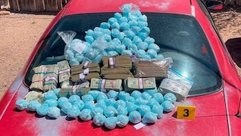 En total, 396 fueron incautados