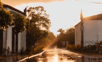 El pronóstico del estado de