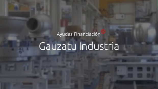 Busines vascos