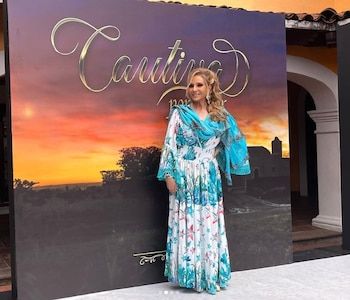 La telenovela de TV