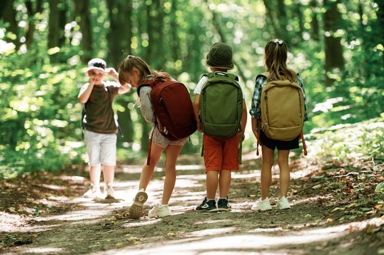 Niños caminando por el bosque.