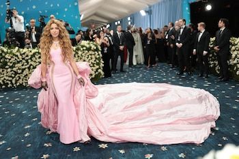 Shakira robó el