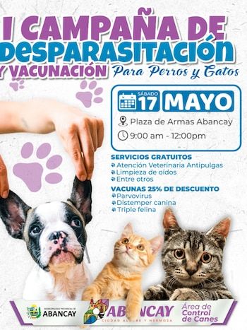 Esta iniciativa también fomenta