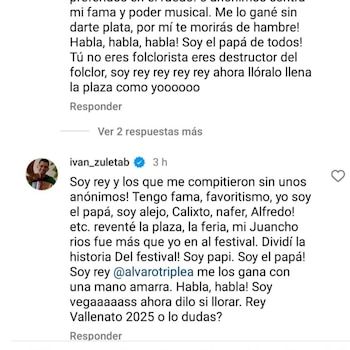 Crítica en el festival