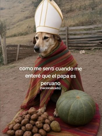 Así, los peruanos reaccionaron