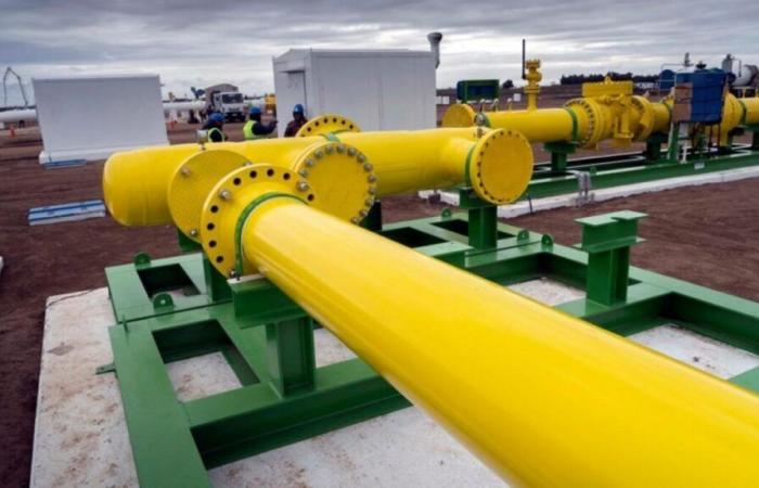 Paraguay acelera su agenda de energía y pone la atención en el gas de Vaca Muerta – Dinammarg -.