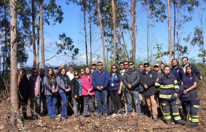 Los actores territoriales de Itata fueron entrenados en Forest Fire Forest Forestry -.