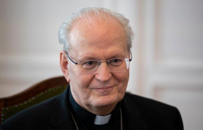 ¿Qué cardenales se percibe como candidatos como el próximo Papa? -.