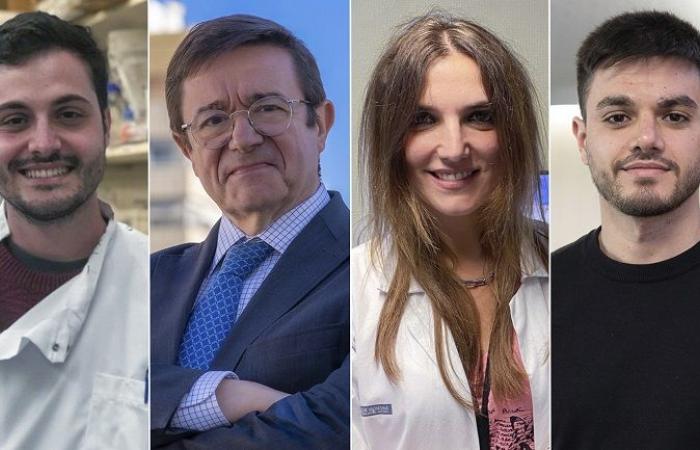 Análisis de sangre para detectar micrometastasis en el cáncer de colon -.