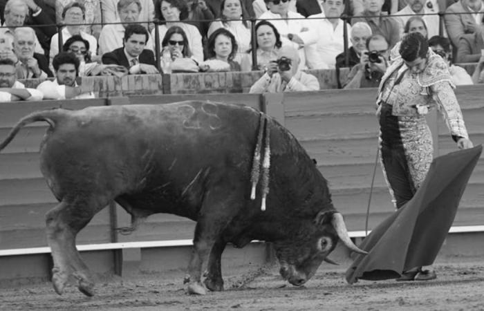Pasos de toros según Sevilla – Cultoro.es -.