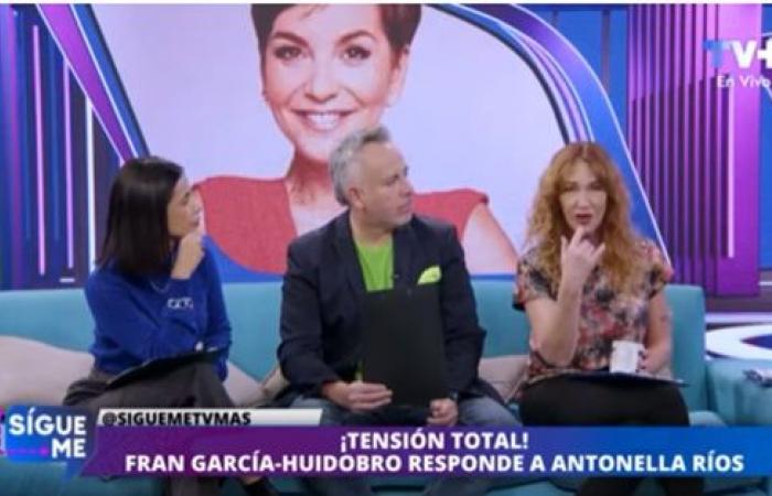 Catalina Pulido and Sergio Rojas criticize Francisca García-Huidobro without filter – .