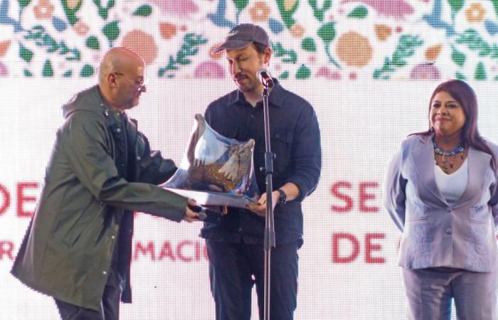 Curl “Flow” en el enchufe CDMX -.