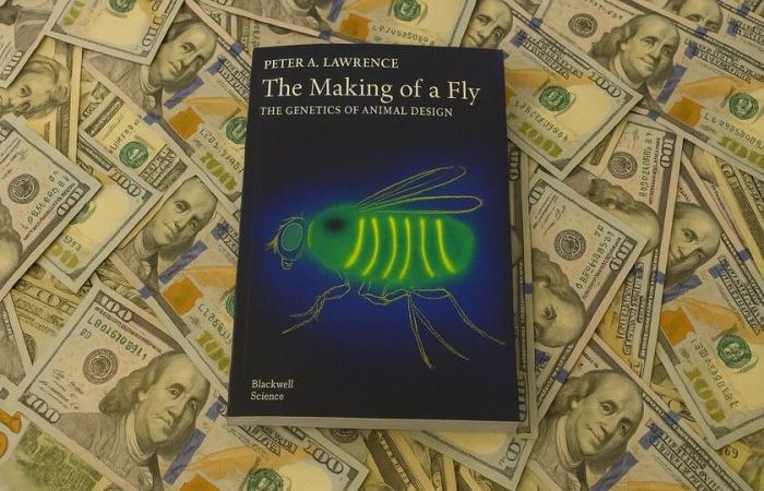 Un libro de Amazon cuesta más de 23 millones de dólares. La culpa fue de un algoritmo ‘codicioso’.