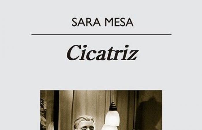 Cinco libros escritos por mujeres perfectas para el Día de la Madre.