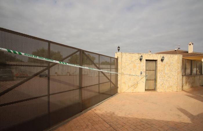 El detenido en Murcia por matar a su madre y lastimando a su pareja los apuñaló en presencia de sus hijos.