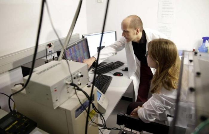 Una inteligencia artificial catalán descifra el lenguaje oculto de las proteínas involucradas en el Alzheimer -.