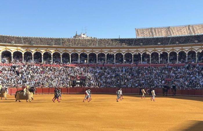 Siga la carrera de arte de Sevilla, con Morante, Juan Ortega y Pablo Aguado -.