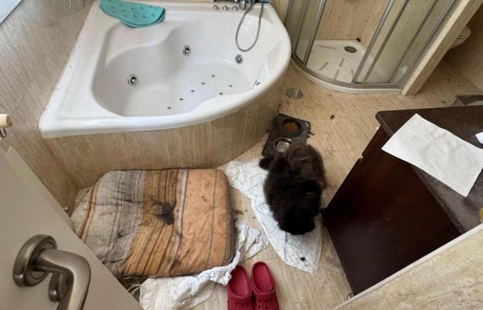 Sus hijos sufrieron “estreñimiento severo” porque no los dejó ir al baño.