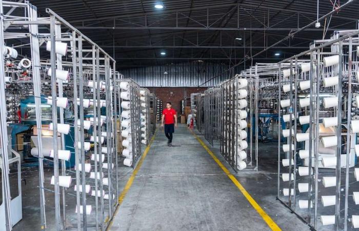 El negocio familiar peruano se fortalece en el sector textil en Colombia y Ecuador, ¿qué otros mercados se ve?