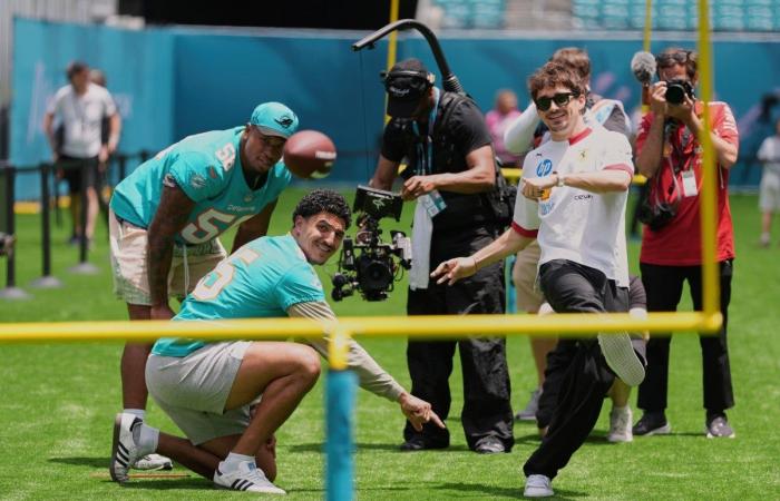 ¡Invitados de lujo! Oscar Piastri y Lando Norris vivían con dos apoyadores de los Miami Dolphins.