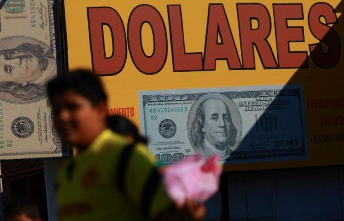 El precio del dólar, hoy 1 de mayo de 2025: 19.64 pesos -.