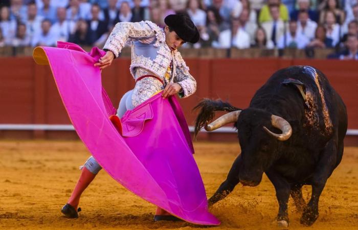 Chronicle Bulls Sevilla hoy | La inspiración del maestro sacude los cimientos del maestro.