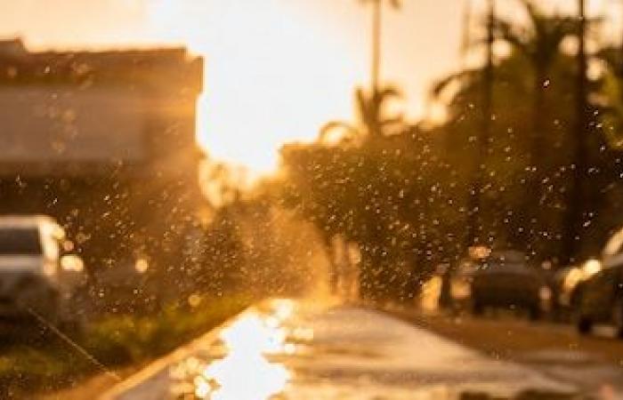 Temperaturas para Córdoba este 1 de mayo -.