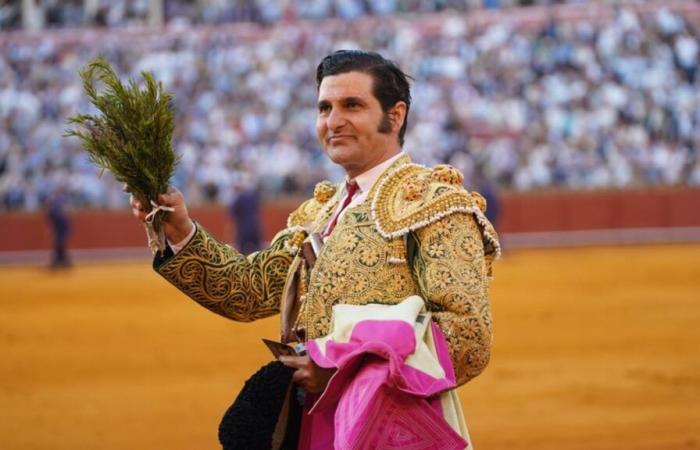 Pasos de toros según Sevilla – Cultoro.es -.