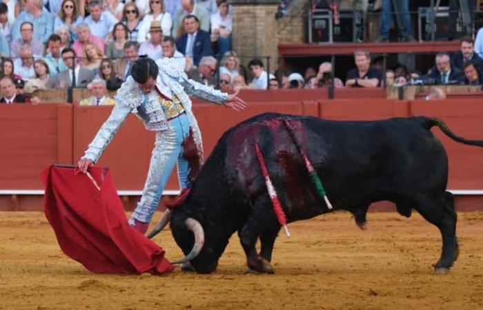 Chronicle Bulls Sevilla hoy | La inspiración del maestro sacude los cimientos del maestro.