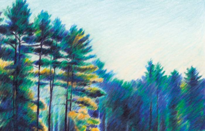 Walden, por Henry David Thoreau -.