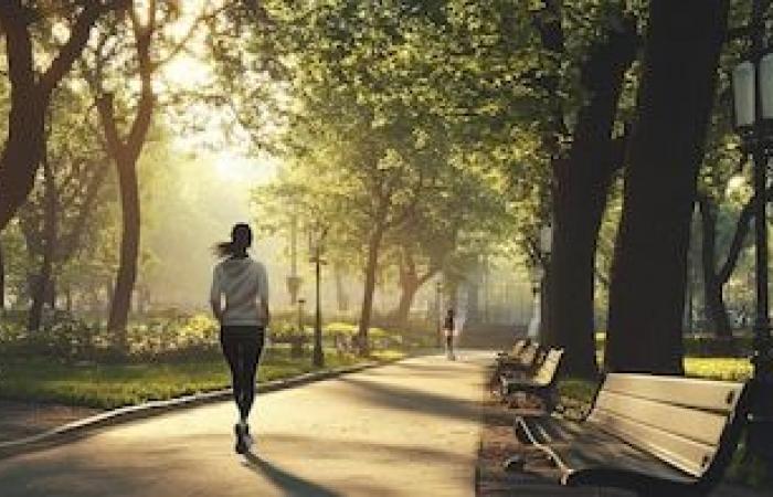 El ejercicio puede ser tan poderoso como los antidepresivos para fortalecer la salud mental.