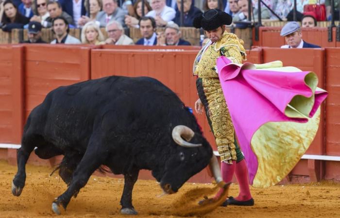 Chronicle Bulls Sevilla hoy | La inspiración del maestro sacude los cimientos del maestro.