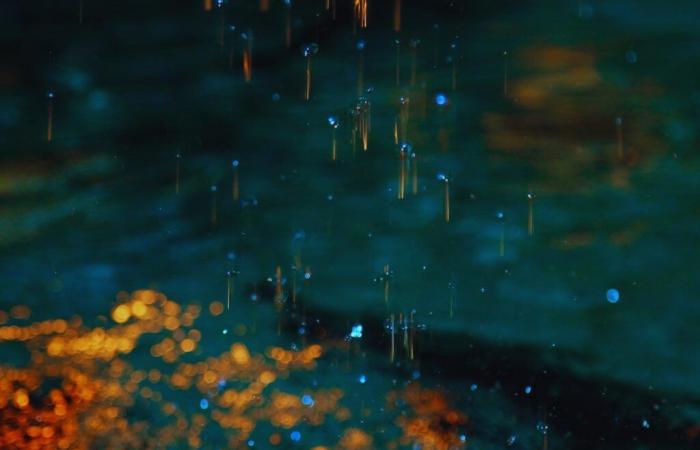 El experimento que podría convertir la fantasía en la industria.