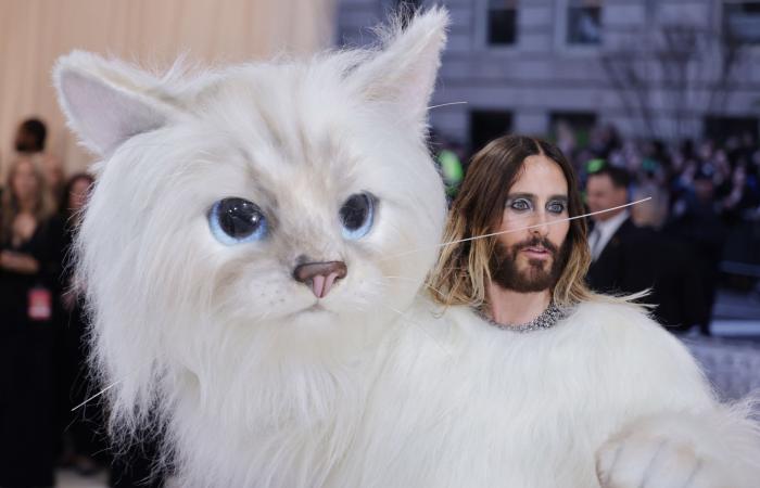 Esta es la vida de lujo del Karl Lagerfeld Cat, que dejó su herencia de 300 millones.