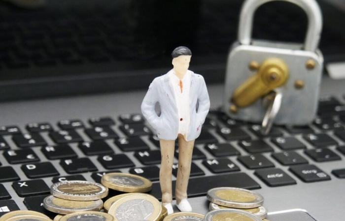El precio de confiar en las plataformas globales -.
