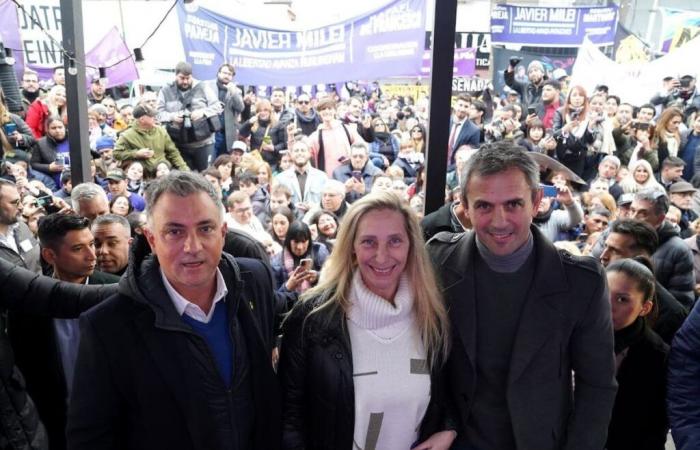 El brazo ejecutivo de Karina Milei y Menem para hacer una caja y ganar territorialidad.