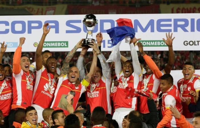 Este es el libro que revela todos los secretos del campeonato en la Copa Sur de 2015.